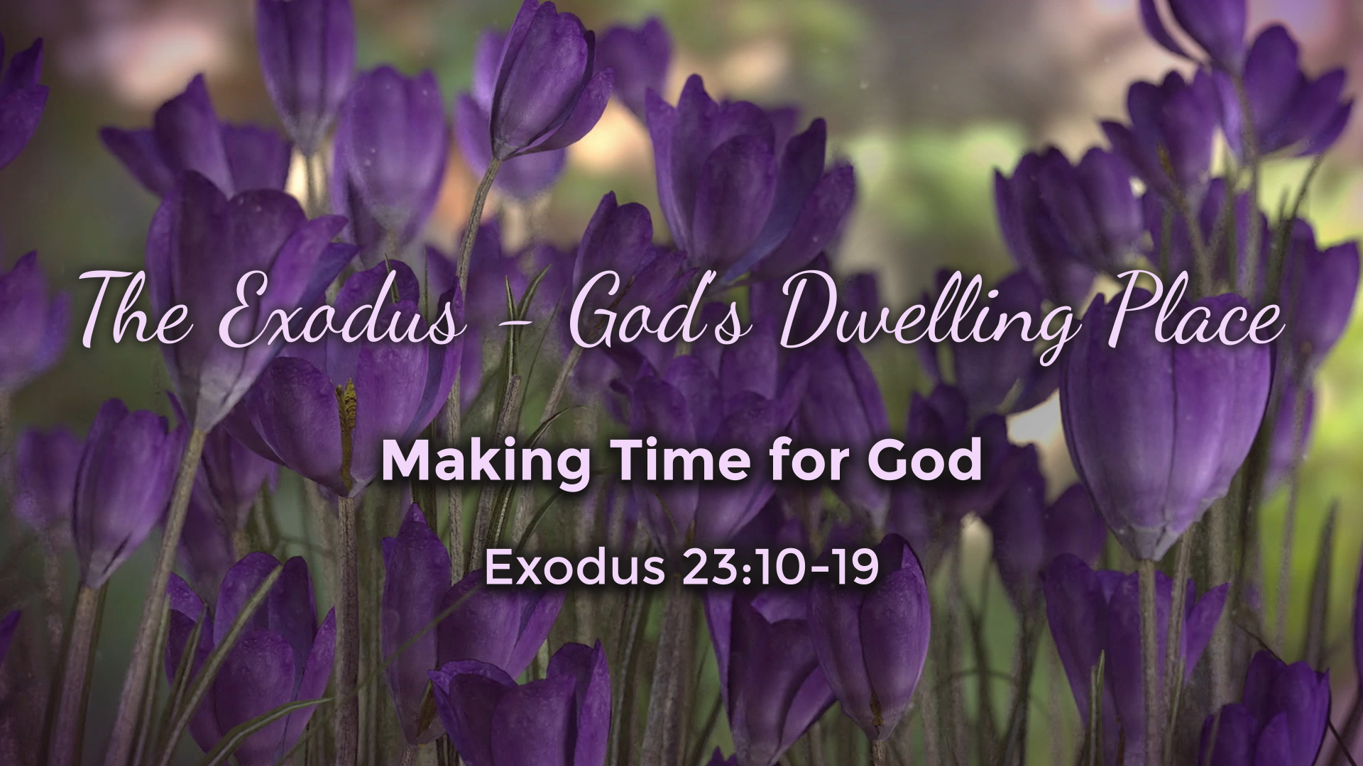 Image for the sermon Making Time for God