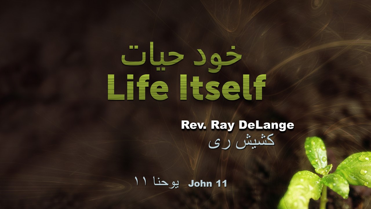 Image for the sermon خود حیات