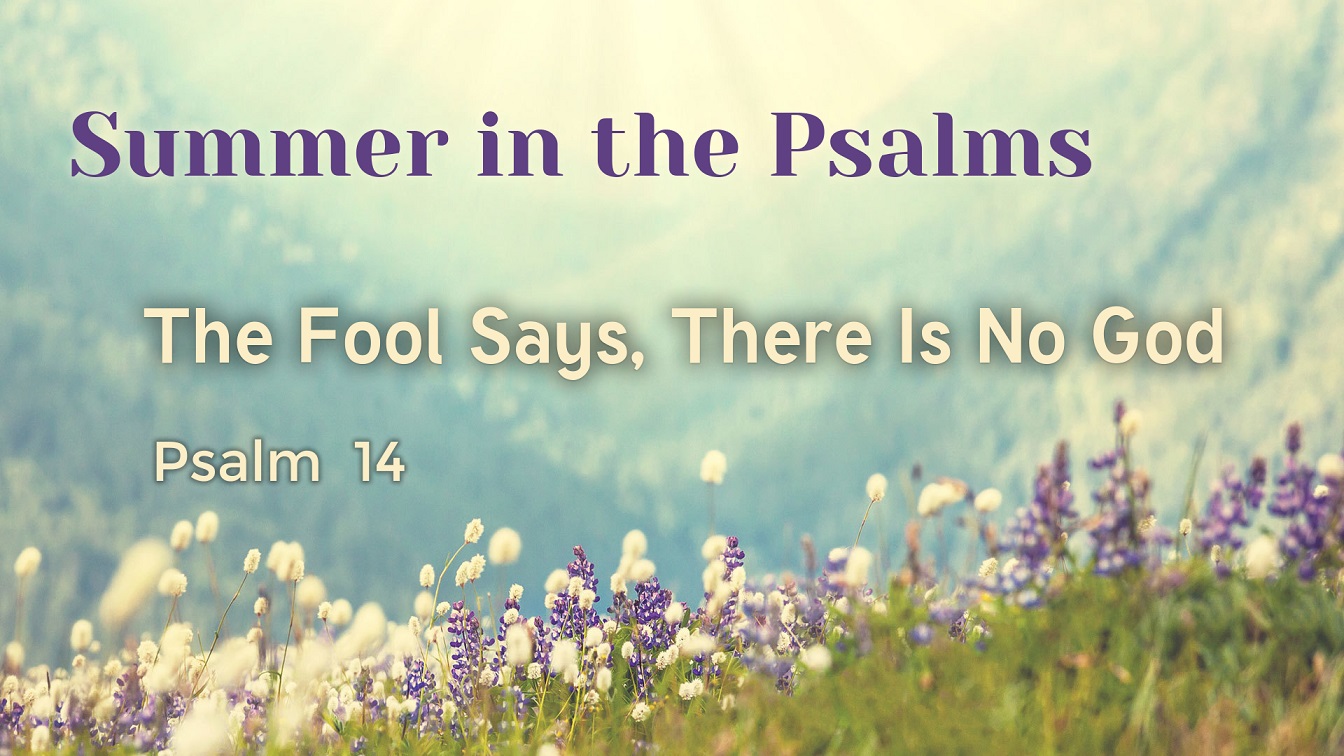 Image for the sermon The Fool says, There Is No God