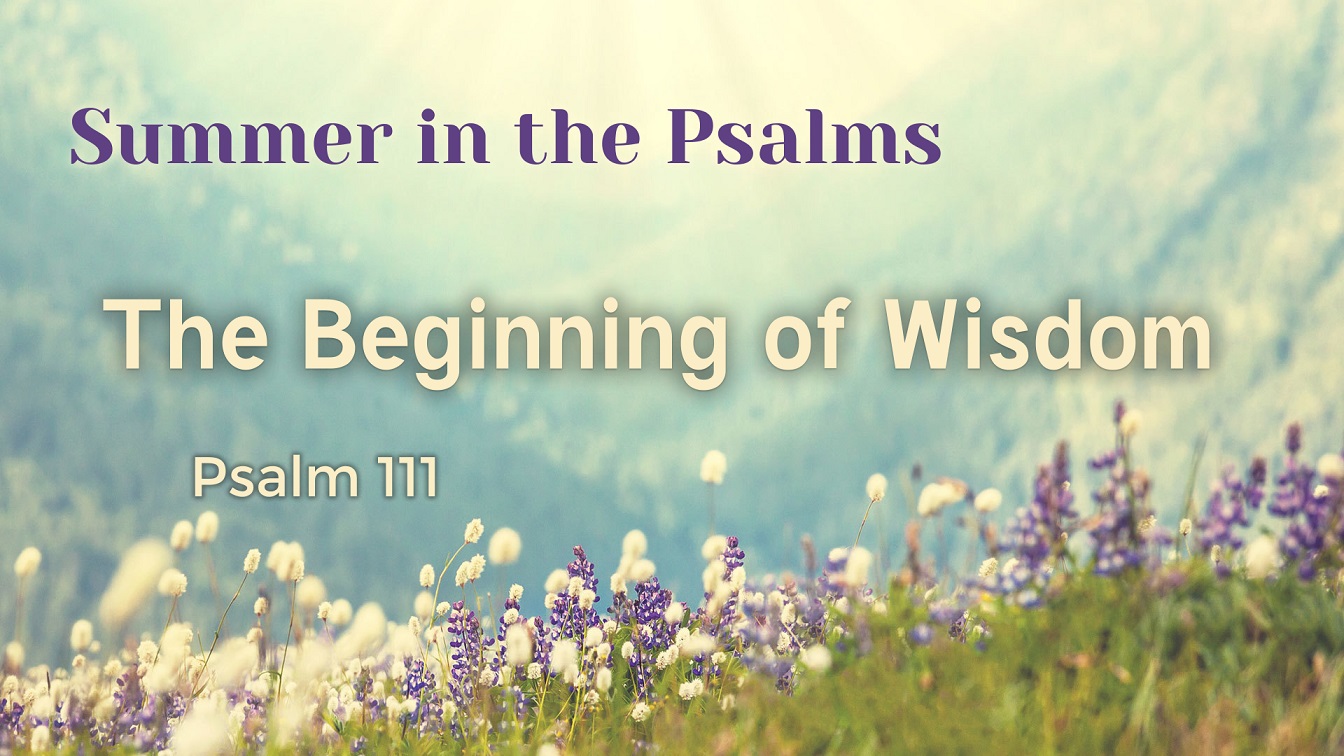 Image for the sermon The Beginning of Wisdom