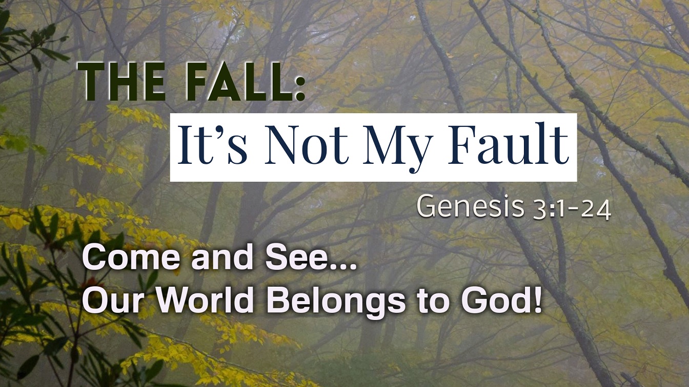 Image for the sermon The Fall – Part 1: “It’s Not My Fault!”