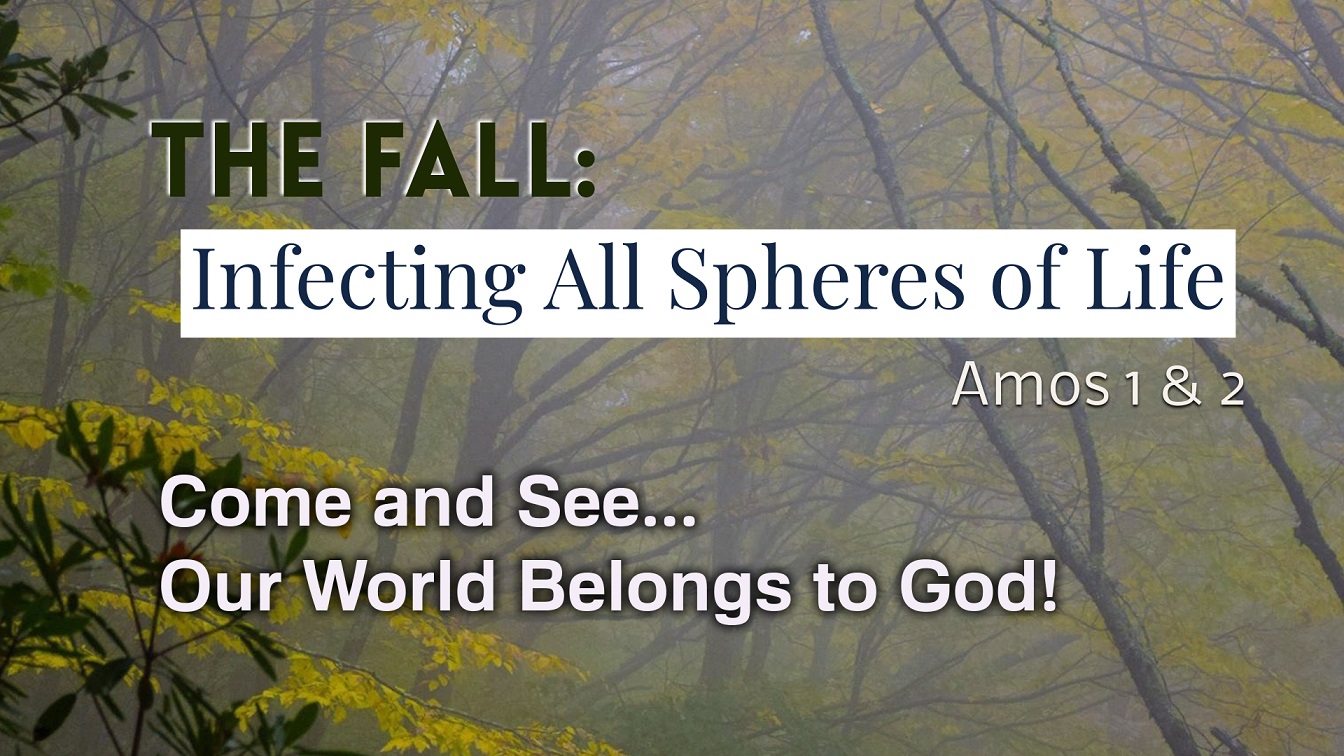 Image for the sermon The Fall – Part 4: Infecting All Spheres of Life