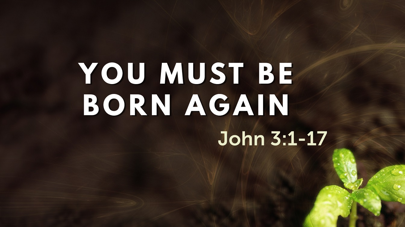 Image for the sermon You Must Be Born Again