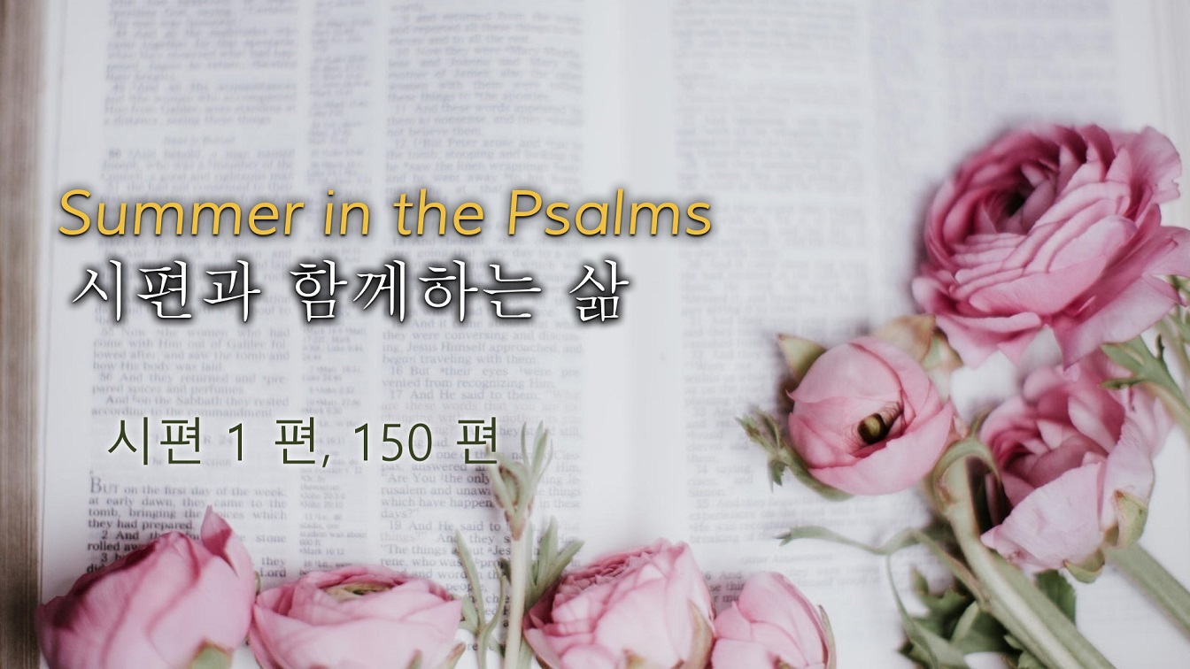 Image for the sermon 설교 한국어 통역 – 2022년 9월 4일 (“Life in the Psalms” Sermon Translation in Korean)