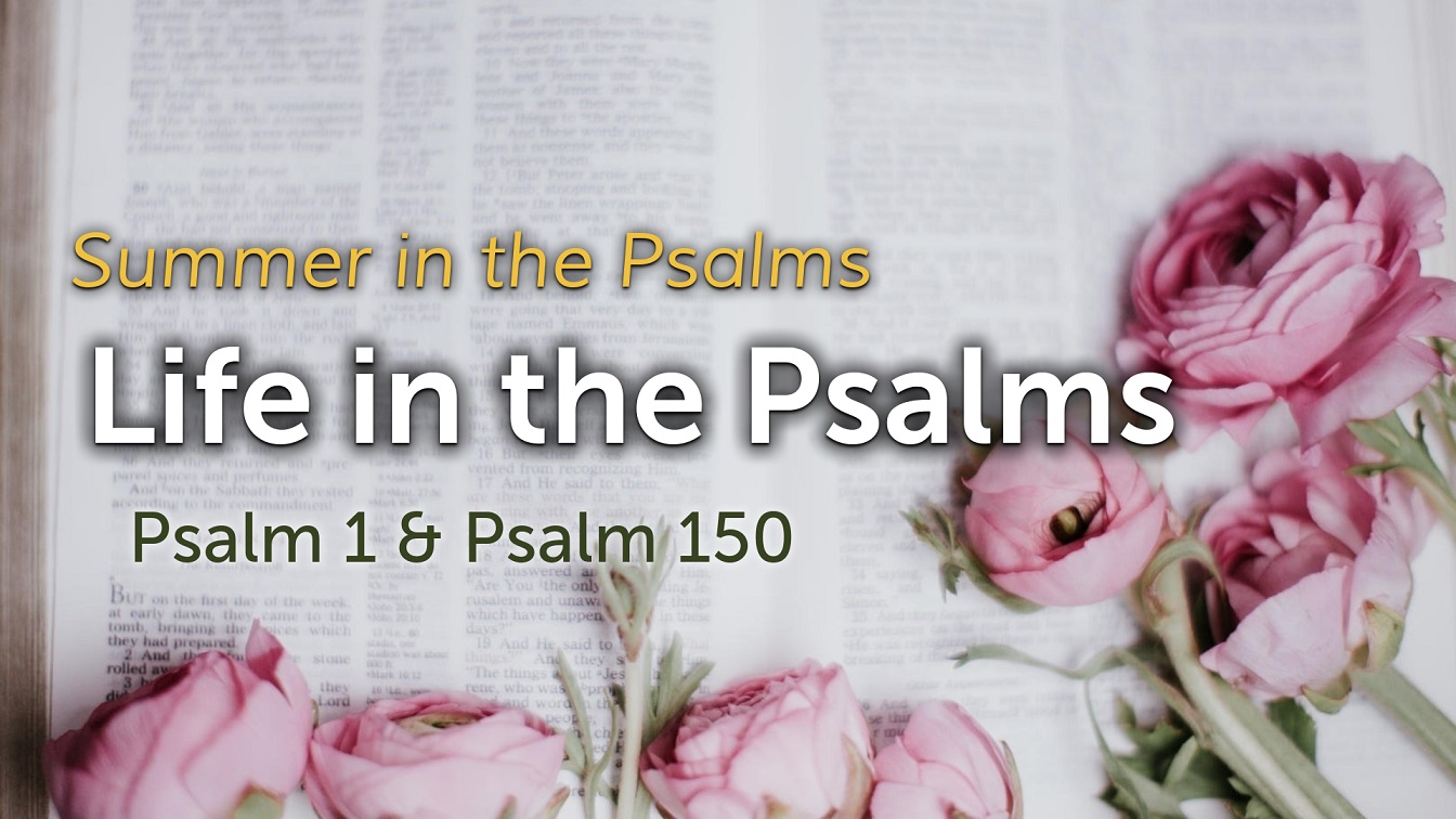 Image for the sermon Life in the Psalms