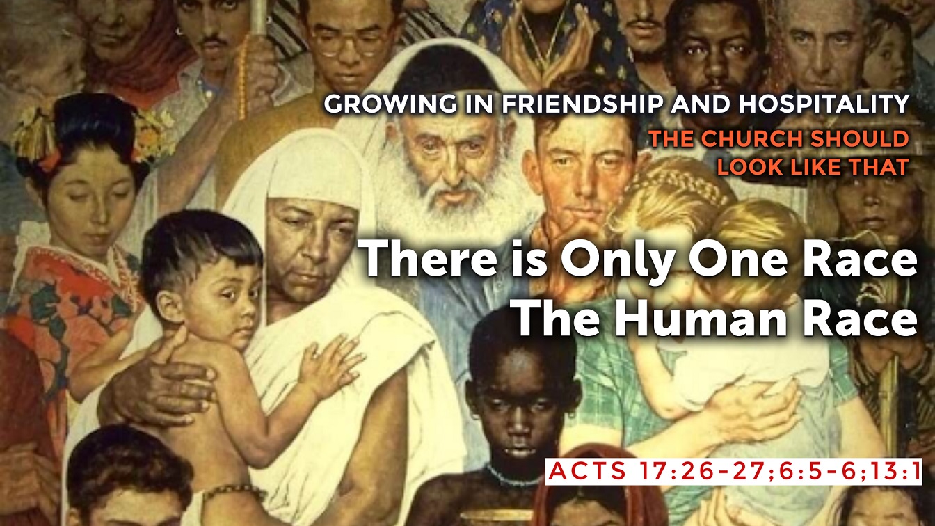 Image for the sermon There is Only One Race – The Human Race