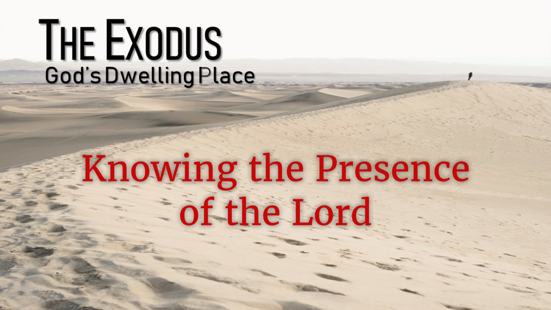 Image for the sermon Knowing the Presence of The Lord