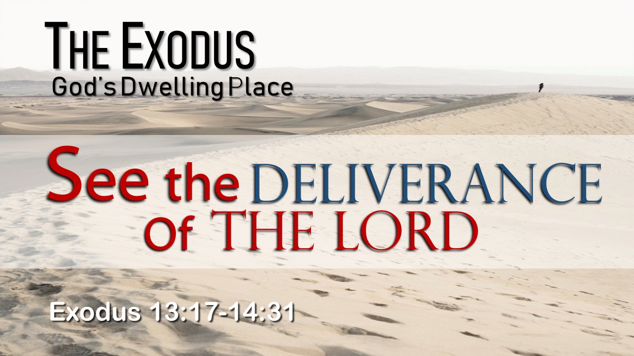 Image for the sermon See the Deliverance of the Lord