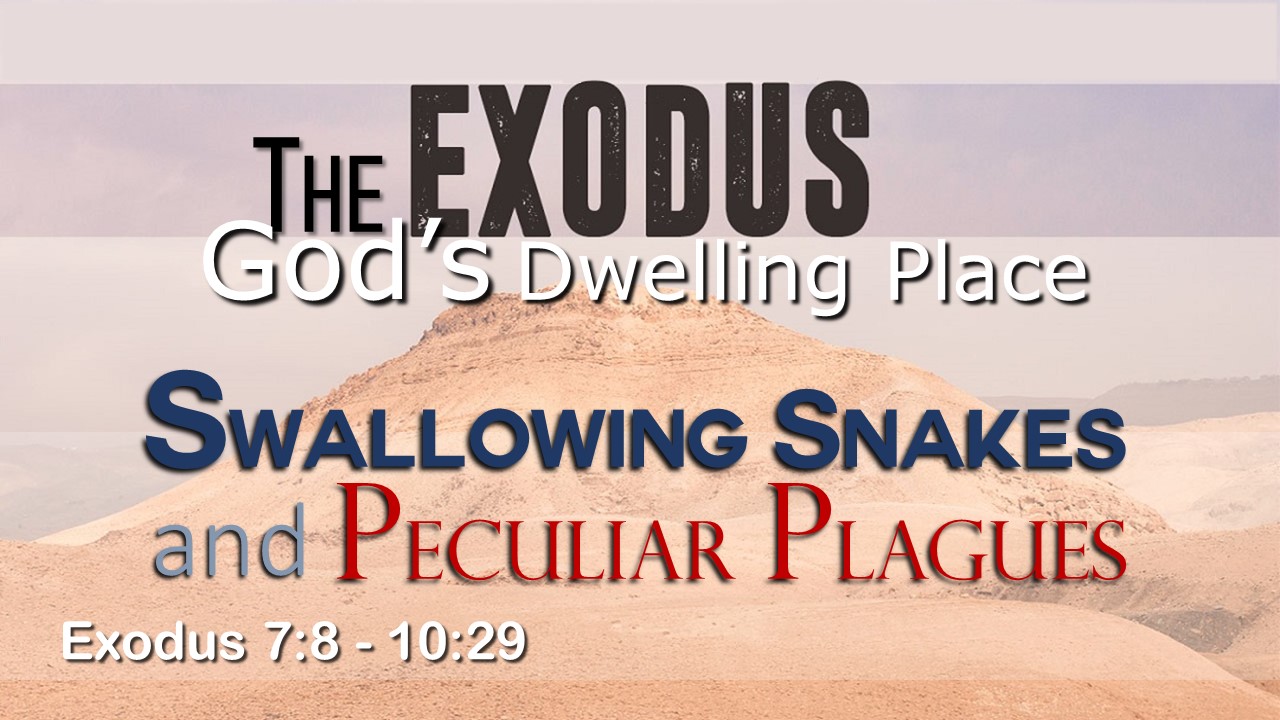 Image for the sermon Swallowing Snakes and Peculiar Plagues